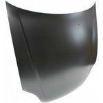 1999-2000 HONDA CIVIC Hood Painted to Match; Sedan/COUPE/HB 1999-2000 HONDA CIVIC Hood Painted to Match; Sedan/COUPE/HB