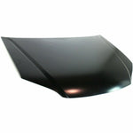 2004-2005 HONDA CIVIC HYBRID Hood Painted to Match 2004-2005 HONDA CIVIC HYBRID Hood Painted to Match