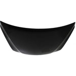 2006-2013 LEXUS IS350 Hood Painted to Match 2006-2013 LEXUS IS350 Hood Painted to Match