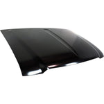 2004-2011 FORD RANGER Hood Painted to Match 2004-2011 FORD RANGER Hood Painted to Match