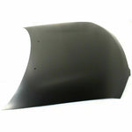 2000-2003 NISSAN SENTRA Hood Painted to Match 2000-2003 NISSAN SENTRA Hood Painted to Match
