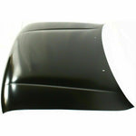 1995-2000 TOYOTA TACOMA Hood Painted to Match 1995-2000 TOYOTA TACOMA Hood Painted to Match