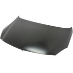 2011-2011 BUICK REGAL Hood Painted to Match 2011-2011 BUICK REGAL Hood Painted to Match