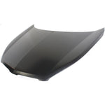 2009-2010 PONTIAC VIBE Hood Painted to Match 2009-2010 PONTIAC VIBE Hood Painted to Match