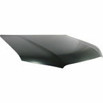 2010-2023 TOYOTA 4-RUNNER Hood Painted to Match; w/o Scoop holes; Sport 2010-2023 TOYOTA 4-RUNNER Hood Painted to Match; w/o Scoop holes; Sport