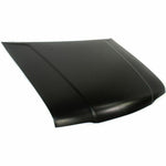 1995-2002 KIA SPORTAGE Hood Painted to Match 1995-2002 KIA SPORTAGE Hood Painted to Match