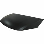 2008-2010 HONDA ODYSSEY Hood Painted to Match 2008-2010 HONDA ODYSSEY Hood Painted to Match