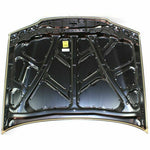 1996-1997 HONDA ACCORD Hood Painted to Match; w/4 cyl ENG 1996-1997 HONDA ACCORD Hood Painted to Match; w/4 cyl ENG