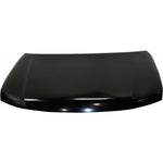 2017-2020 NISSAN ARMADA Hood Painted to Match 2017-2020 NISSAN ARMADA Hood Painted to Match