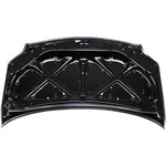 2004-2004 SCION xA Hood Painted to Match 2004-2004 SCION xA Hood Painted to Match
