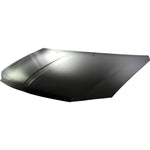 2008-2010 DODGE CARAVAN Hood Painted to Match 2008-2010 DODGE CARAVAN Hood Painted to Match