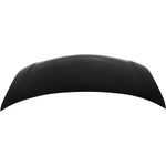 2004-2004 SCION xA Hood Painted to Match 2004-2004 SCION xA Hood Painted to Match