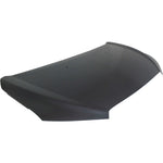 2012-2016 CHEVY SONIC Sedan Hood Painted to Match 2012-2016 CHEVY SONIC Sedan Hood Painted to Match