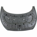 2012-2013 HYUNDAI VELOSTER Hood Painted to Match 2012-2013 HYUNDAI VELOSTER Hood Painted to Match