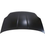 2007-2012 NISSAN SENTRA Hood Painted to Match 2007-2012 NISSAN SENTRA Hood Painted to Match