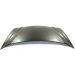 2002-2005 HYUNDAI SONATA Hood Painted to Match 2002-2005 HYUNDAI SONATA Hood Painted to Match