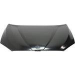 2012-2015 BMW X1 Hood Painted to Match; E84 2012-2015 BMW X1 Hood Painted to Match; E84