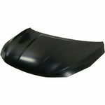 2016-2019 NISSAN SENTRA Hood Painted to Match 2016-2019 NISSAN SENTRA Hood Painted to Match