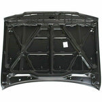 1996-2002 TOYOTA 4-RUNNER Hood Painted to Match; w/o Hood Painted to Match scoop 1996-2002 TOYOTA 4-RUNNER Hood Painted to Match; w/o Hood Painted to Match scoop