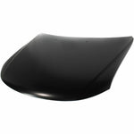 2009-2010 KIA OPTIMA Hood Painted to Match 2009-2010 KIA OPTIMA Hood Painted to Match