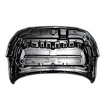 2020-2021 NISSAN SENTRA Hood Painted to Match 2020-2021 NISSAN SENTRA Hood Painted to Match