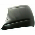 1995-2000 TOYOTA TACOMA Hood Painted to Match 1995-2000 TOYOTA TACOMA Hood Painted to Match