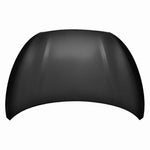 2010-2011 HYUNDAI TUCSON Hood Painted to Match 2010-2011 HYUNDAI TUCSON Hood Painted to Match