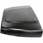 1997-2006 JEEP WRANGLER Hood Painted to Match 1997-2006 JEEP WRANGLER Hood Painted to Match