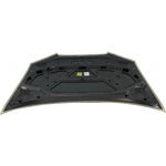 2009-2013 AUDI A3 Hood Painted to Match 2009-2013 AUDI A3 Hood Painted to Match