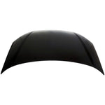 2000-2004 FORD FOCUS Hood Painted to Match 2000-2004 FORD FOCUS Hood Painted to Match