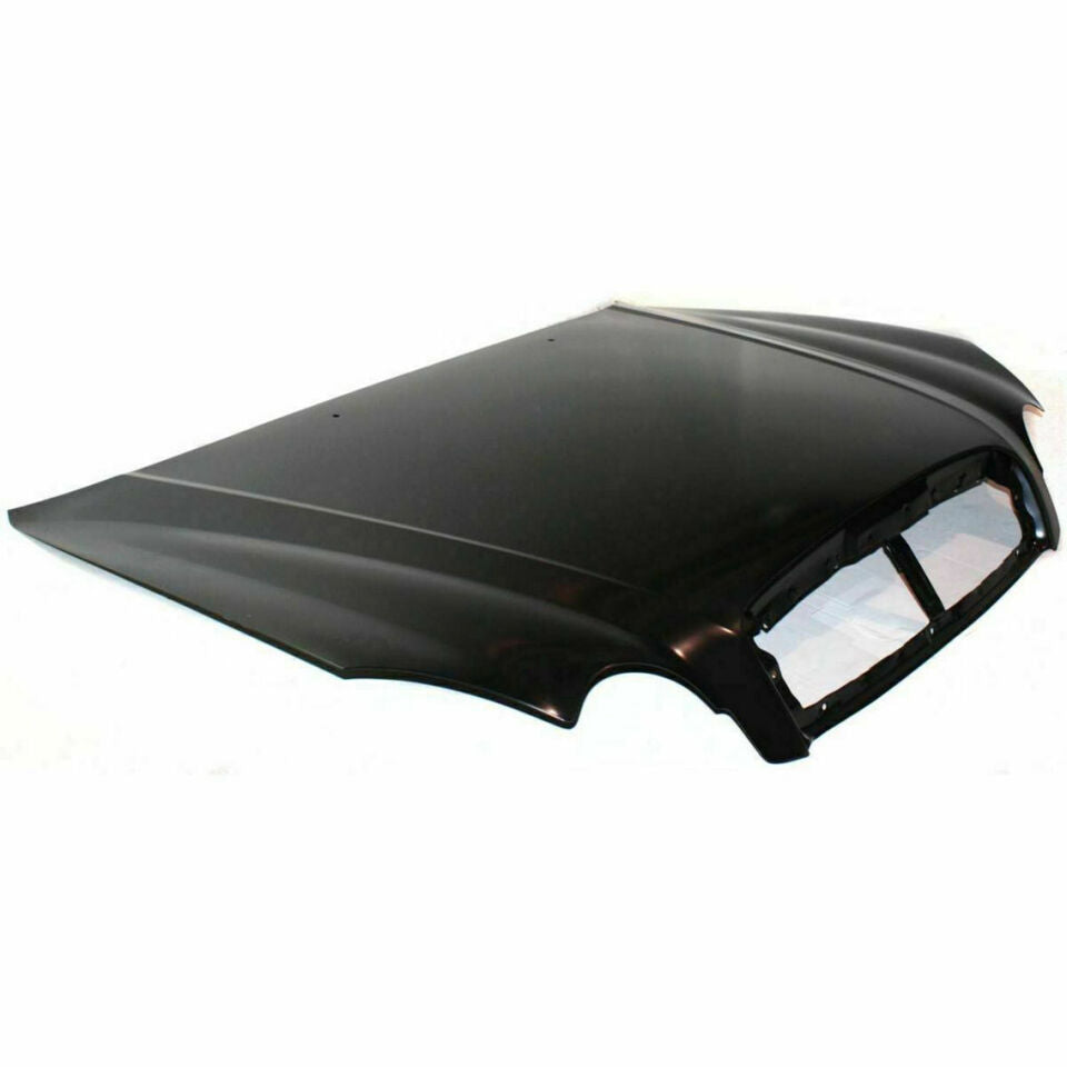 2002-2005 HYUNDAI SONATA Hood Painted to Match | Paint N Ship