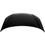 2000-2004 FORD FOCUS Hood Painted to Match 2000-2004 FORD FOCUS Hood Painted to Match