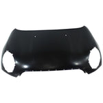 2011-2012 MINI COOPER Hood Painted to Match; BASE 2011-2012 MINI COOPER Hood Painted to Match; BASE