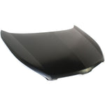 2009-2010 PONTIAC VIBE Hood Painted to Match 2009-2010 PONTIAC VIBE Hood Painted to Match