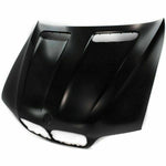 2004-2006 BMW X5 Hood Painted to Match 2004-2006 BMW X5 Hood Painted to Match