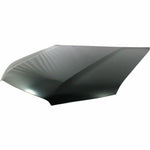 2010-2023 TOYOTA 4-RUNNER Hood Painted to Match; w/o Scoop holes; Sport 2010-2023 TOYOTA 4-RUNNER Hood Painted to Match; w/o Scoop holes; Sport