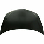 2007-2012 LEXUS ES350 Hood Painted to Match 2007-2012 LEXUS ES350 Hood Painted to Match