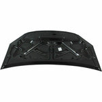 2008-2010 HONDA ODYSSEY Hood Painted to Match 2008-2010 HONDA ODYSSEY Hood Painted to Match