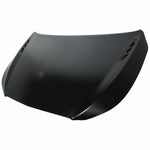 2012-2013 BUICK LACROSSE eASSIST Hood Painted to Match 2012-2013 BUICK LACROSSE eASSIST Hood Painted to Match