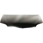 2000-2002 TOYOTA ECHO Hood Painted to Match 2000-2002 TOYOTA ECHO Hood Painted to Match