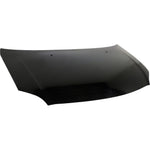 2004-2004 SCION xA Hood Painted to Match 2004-2004 SCION xA Hood Painted to Match