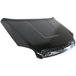 2010-2015 GMC TERRAIN Hood Painted to Match 2010-2015 GMC TERRAIN Hood Painted to Match