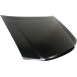 2006-2010 ISUZU PICKUP Hood Painted to Match 2006-2010 ISUZU PICKUP Hood Painted to Match