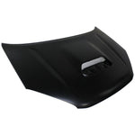 2001-2005 TOYOTA RAV4 Hood Painted to Match; w/scoop 2001-2005 TOYOTA RAV4 Hood Painted to Match; w/scoop