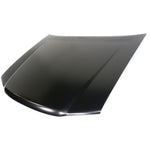 2006-2010 ISUZU PICKUP Hood Painted to Match 2006-2010 ISUZU PICKUP Hood Painted to Match