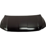 2019-2023 VOLKSWAGEN JETTA Hood Painted to Match 2019-2023 VOLKSWAGEN JETTA Hood Painted to Match