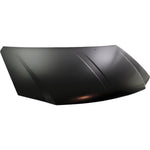 2008-2010 DODGE CARAVAN Hood Painted to Match; (STEEL) (PT) 2008-2010 DODGE CARAVAN Hood Painted to Match; (STEEL) (PT)