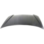 2003-2006 HYUNDAI ACCENT Hood Painted to Match 2003-2006 HYUNDAI ACCENT Hood Painted to Match