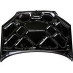 2005-2007 FORD FOCUS Hood Painted to Match 2005-2007 FORD FOCUS Hood Painted to Match