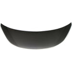 2009-2010 PONTIAC VIBE Hood Painted to Match 2009-2010 PONTIAC VIBE Hood Painted to Match